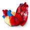 Learning Resources&#xAE; Soft Foam Cross Section Human Heart Model